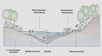 Moor mit Verlandungsregime (syn. Verlandungsmoor)